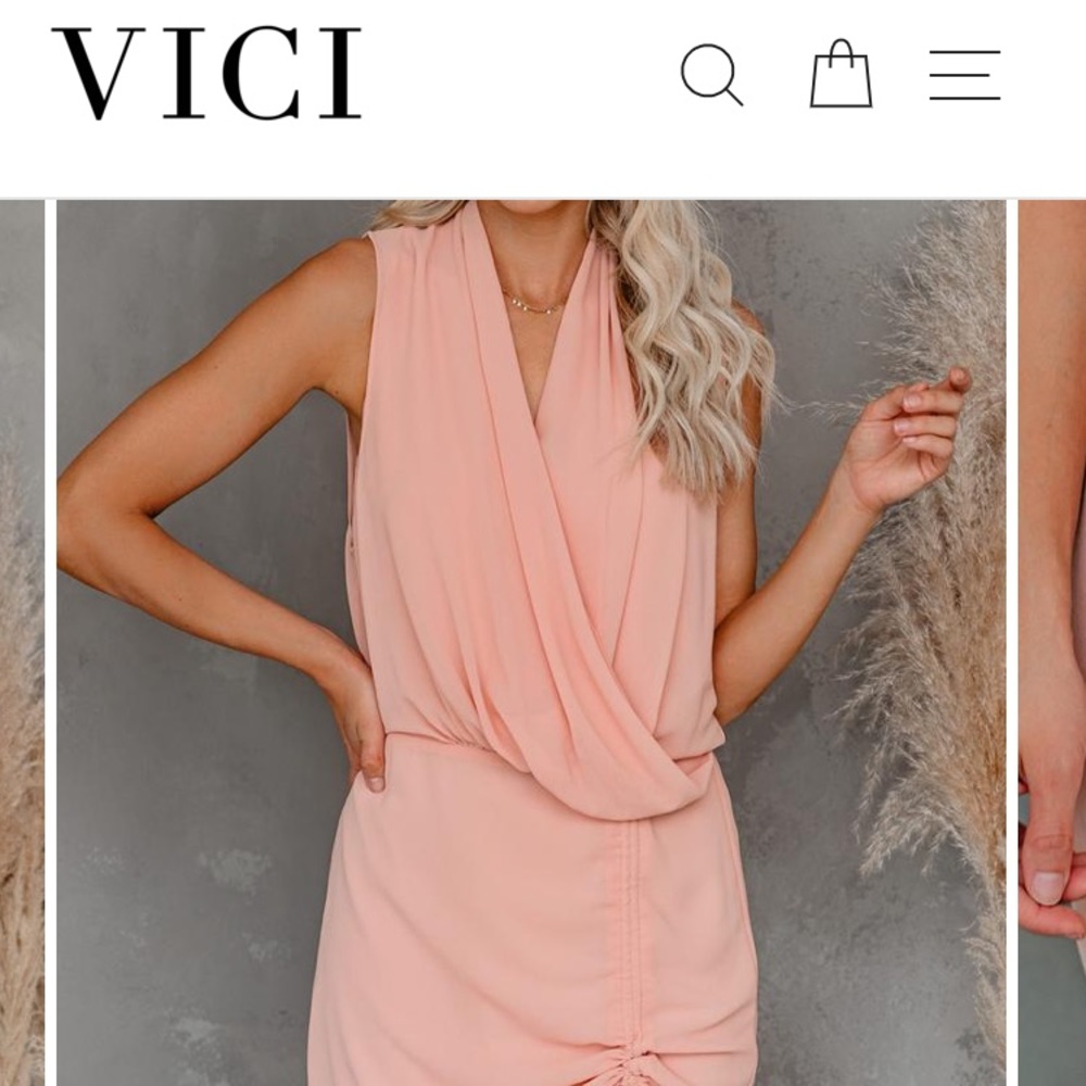 NWT VICI dress